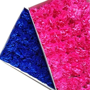 Сапунни филийки за карнация